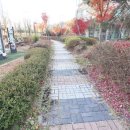 프라임1공인중개사사무소 이미지