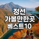 사계절 생태놀이 | 정선 가볼만한곳 베스트10