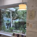 작은정원 | 도자기 공방과 함께하는 도시 속 작은 정원 카페 온,도씨 후기