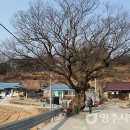 진우경로당 이미지