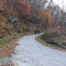 강남태평양약국 이미지