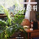 stay 공위 이미지