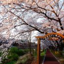 탄동천-1 이미지