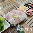 어부딸포장회도매센터 | 고성 횟집 맛집 봉포회가 모듬회 소 회포장 후기