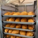 1942 | 마곡 타르데마1942 베이커리 | 빵순이 빵지순례 다녀온 방문후기 | 빵투어 코스 솔직리뷰🔥