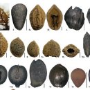 동궁과월지 화장실 이미지