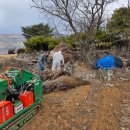단양군농업기술센터 이미지