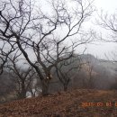 진고개농장 이미지