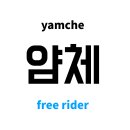 얌체