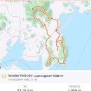 신선대 입구 임도 이미지