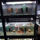 에스엔알(SNR) 이미지