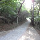 큰고개목장 이미지