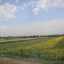 고비올 농장 이미지