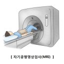 무릎관절증(Gonarthrosis)근골격질환이란? 이미지