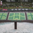 세계최대 삼척장미공원 개장 이미지
