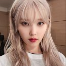 비비즈