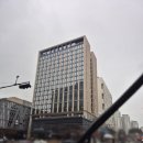 오토티엠 | 그래비티 조선 서울 판교 오토그래프 컬렉션 현대카드 엠몰 구매