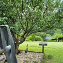 까사누아 | 독채 펜션 까사누아 사용 후기