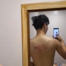 효린농장 | 보홀 3박5일 여행 일정 경비 정리 (호핑, 반딧불투어, 헤난 리조트, 제주항공 수화물)