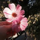 광릉 가마골 이미지