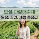 보성군 청소년수련원 | 5월 축제 가볼만한 곳 보성 다향대축제 2026 일정 초대가수 주차장 체험부스 총정리 어린이날 전라도...