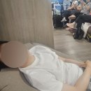 황해목장 이미지