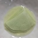 현동1길 | [마산 현동 맛집] 현동식육식당 : 정육점 고기라 클래스가 다른 가성비 정육식당 후기