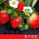 대구프뢰벨유치원 이미지