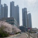 해운대힐스테이트위브 상가 앞 이미지