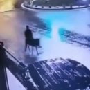 당나귀지게차