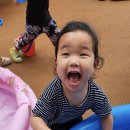 붕붕카세차장 이미지