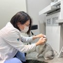 한마음동물의료원 이미지