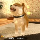 주식회사 펫프렌즈 네이버블로그