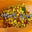 애담농원