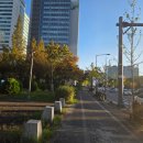 둔산중로-47 이미지