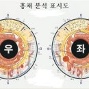 한국생활홍채학협회에서 회원님들께 알려드립니다! 이미지