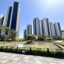 코림트리풀공인중개사사무소 | [상대동 트리풀시티 5단지] 점심 산책으로 만난 봄날의 연지원, 그리고 여유