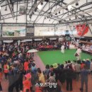 정선신토불이 이미지