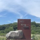 아이들과 반려견 동반 용인 남사 - 카페트레일 &amp; 몽키리코