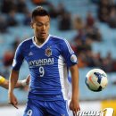 김신욱 카카오 검색결과