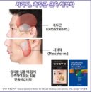 서울턱구강내과치과의원 | [시청|을지로] 이갈이 보톡스 후기 시청서울구강내과치과의원