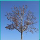 경춘선숲길 이미지