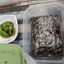 황금코다리 구영점 이미지