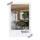 협재둥지 이미지