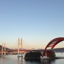 종합카 | 사천아기랑, 아라마루 아쿠아리움·동물원·케이블카 종합코스 솔직 후기