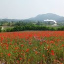 한경대학교부속농장 이미지