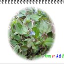 당제산 - 1359 | 당제산