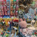 냥집사 | 11월에 열린 일산 킨텍스 펫페어 '메가주' 짧은 후기 (냥집사 관점/추천 비추천 이유)