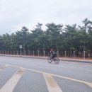 복숭아독채펜션 네이버블로그