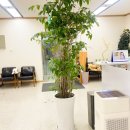 무위의 공동체 | 부부관계 오래 유지되는 이유입니다